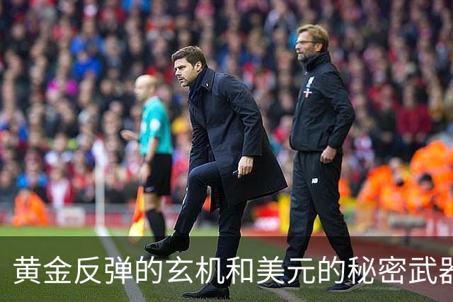 黄金反弹的玄机和美元的秘密武器